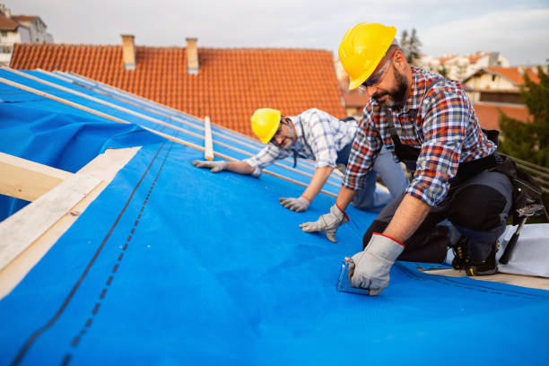 Best Roof Installation Near Me  in Marquette, MI